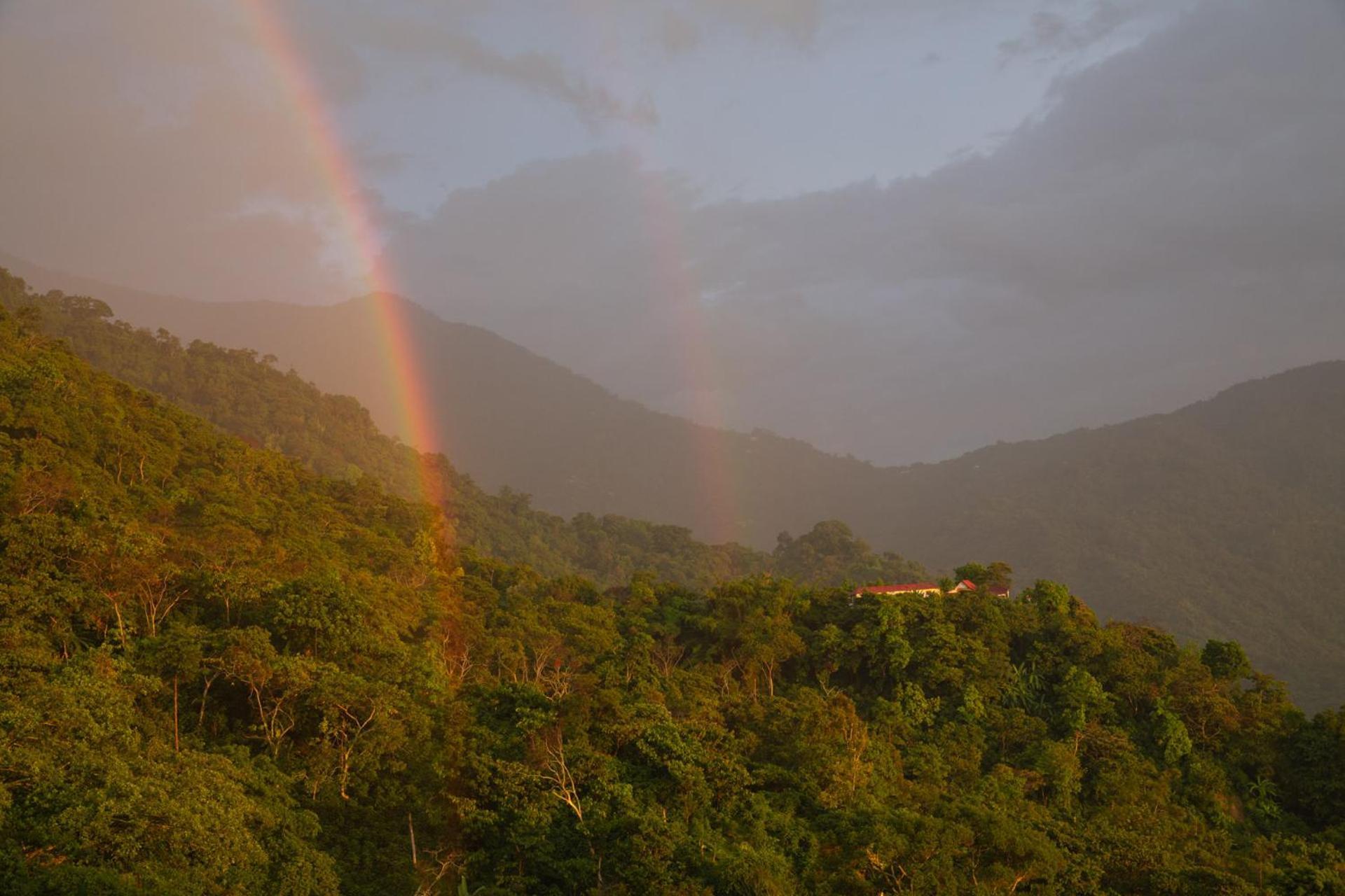 Mundo Nuevo Eco Lodge Minca Eksteriør bilde