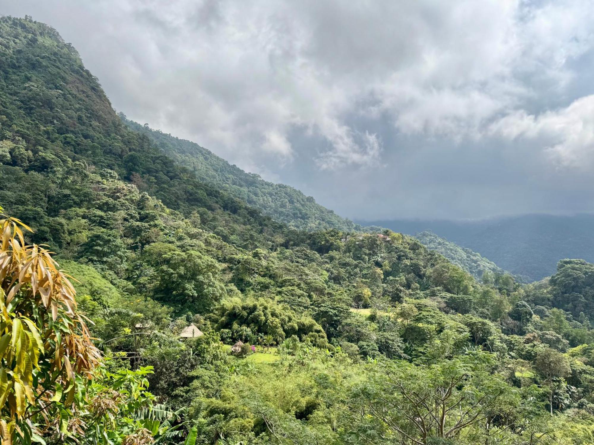 Mundo Nuevo Eco Lodge Minca Eksteriør bilde